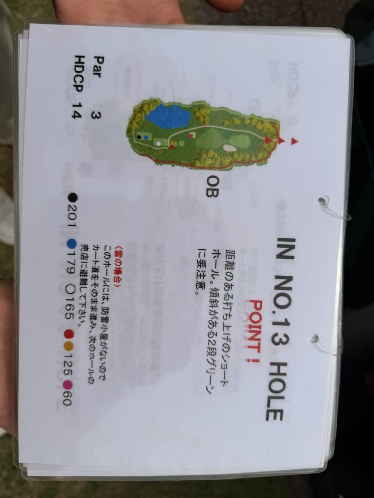 IMG 3087